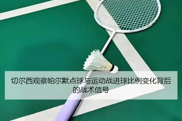 切尔西观察帕尔默点球与运动战进球比例变化背后的战术信号